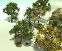 baum_gruen