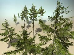 baum_nadel