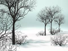 baum_kahl