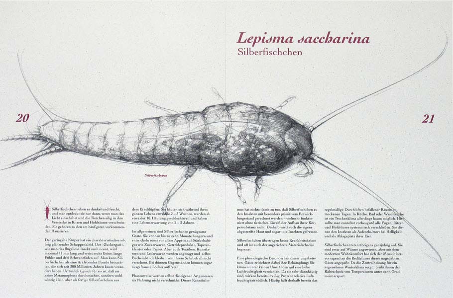 silberfischchen