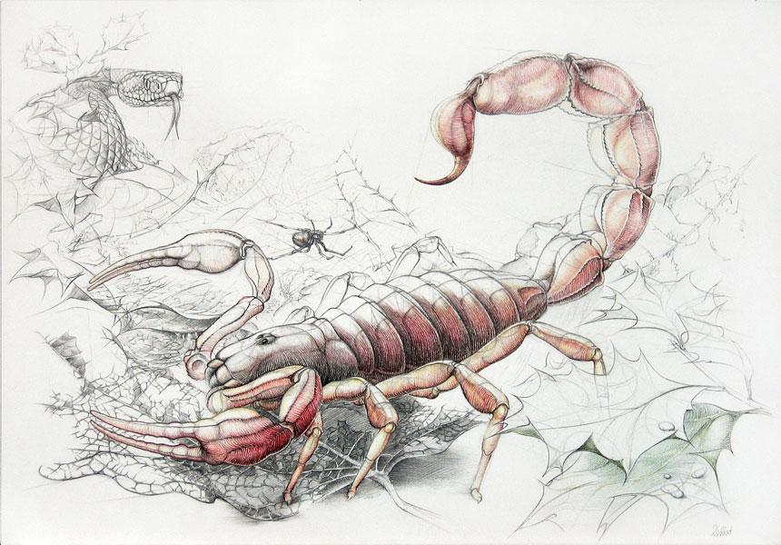 sternzeichen_skorpion